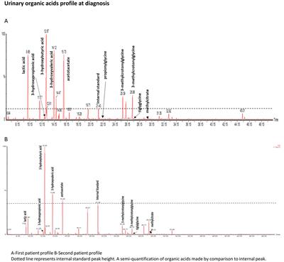 Case report: Two siblings with very late onset of holocarboxylase synthase deficiency and a mini-review